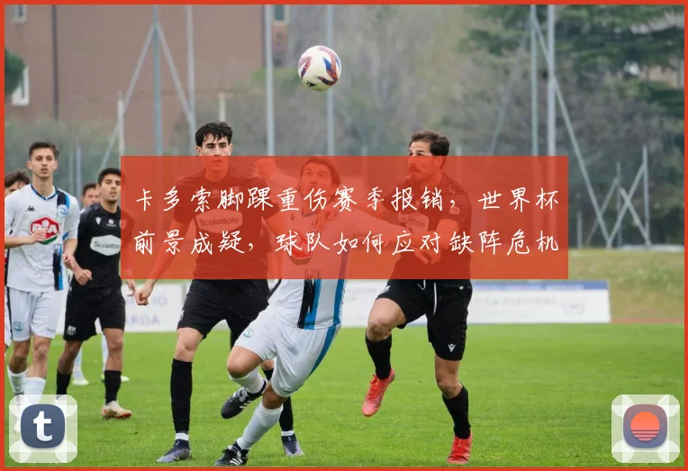 卡多索脚踝重伤赛季报销，世界杯前景成疑，球队如何应对缺阵危机？